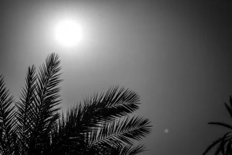 Desert of figuig Stock Photos