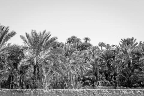 Desert of figuig Stock Photos