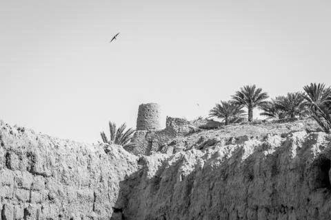 Desert of figuig Stock Photos