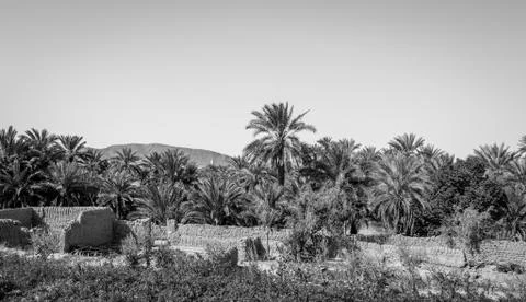 Desert of figuig Stock Photos