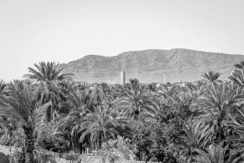 Desert of figuig Stock Photos