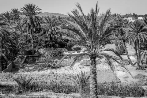 Desert of figuig Stock Photos
