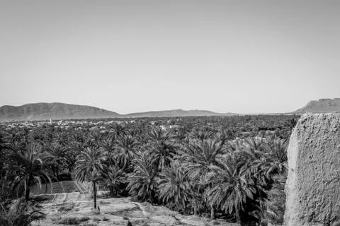 Desert of figuig Stock Photos
