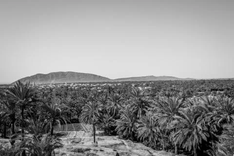 Desert of figuig Stock Photos