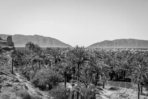 Desert of figuig Stock Photos
