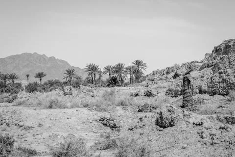 Desert of figuig Stock Photos