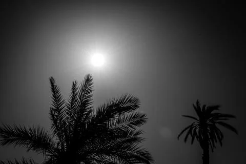 Desert of figuig Stock Photos