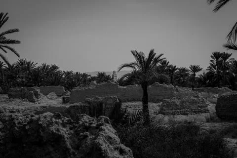 Desert of figuig Foto stock