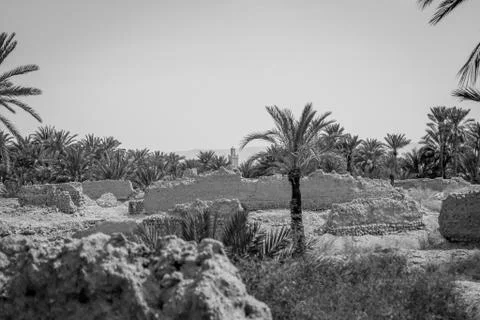 Desert of figuig Stock Photos