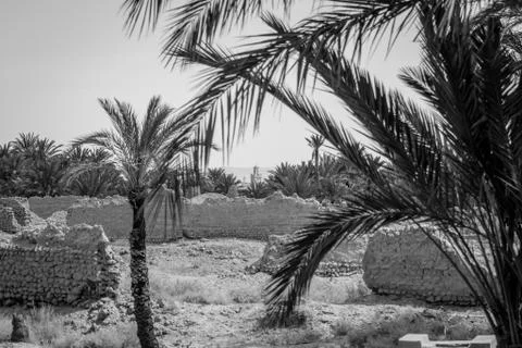 Desert of figuig Stock Photos