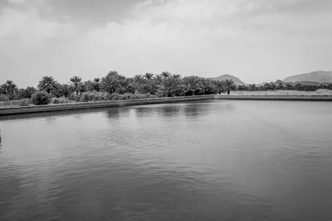 Desert of figuig Stock Photos