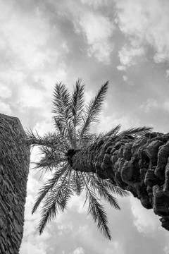 Desert of figuig Stock Photos