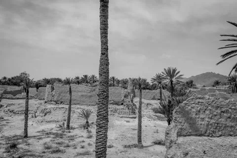 Desert of figuig Stock Photos