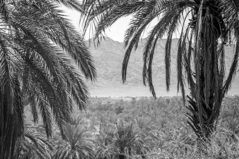 Desert of figuig Stock Photos