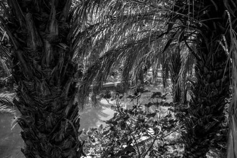 Desert of figuig Stock Photos