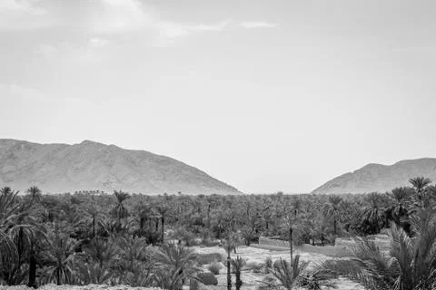 Desert of figuig Stock Photos