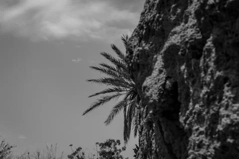 Desert of figuig Foto stock
