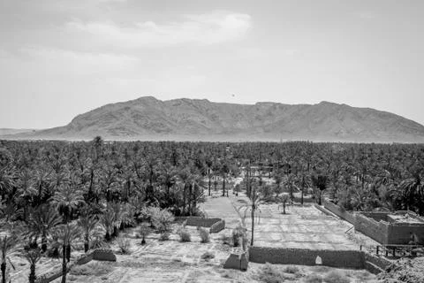Desert of figuig Stock Photos
