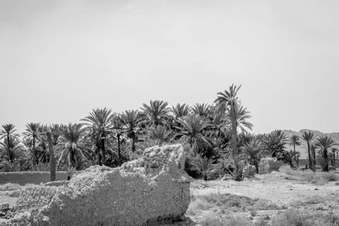 Desert of figuig Stock-Fotos