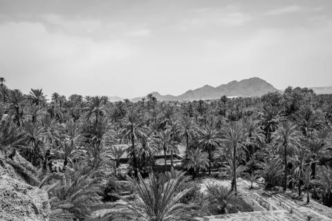 Desert of figuig Stock Photos