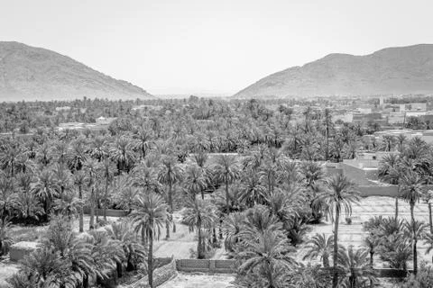 Desert of figuig Stock Photos