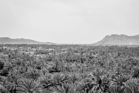 Desert of figuig Stock Photos