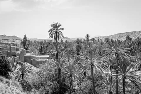 Desert of figuig Stock Photos