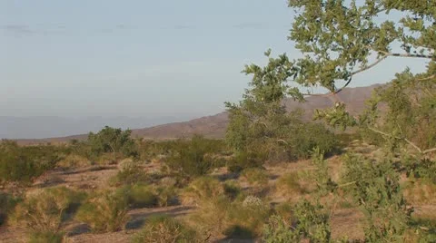 Desert First Light 10 Stock Footage 10607539