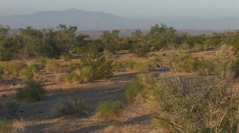 Desert First Light 12 Stock Footage 10610620