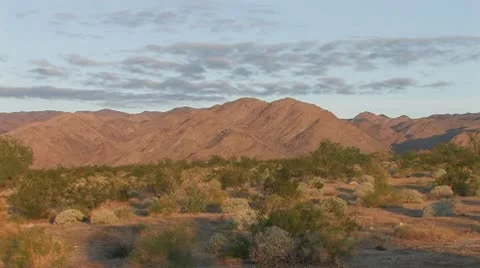 Desert First Light 7 Stock Footage 10610519