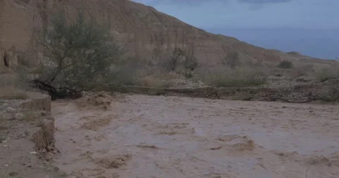 Desert flood og tree 4K 24P Stockbeeldmateriaal 46974668