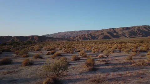 DESERT FLOOR - LOW SHOT - DRONE CRAWL with MOUNTAIN BACKDROP Stock Footage 138915857