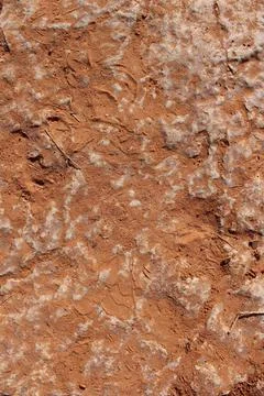 Desert Floor Stock Photos