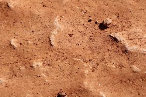 Desert Floor Stock Photos