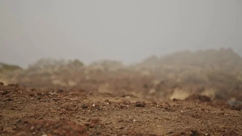 Desert-fog-mist-focus-shift-daylight-earthy Video stock 85475260