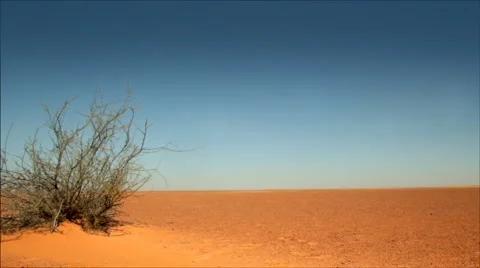 Desert 스톡 동영상 1269419