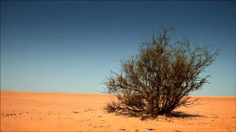 Desert Stock Footage 1358774