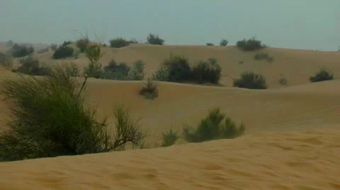 Desert Video stock 11344235