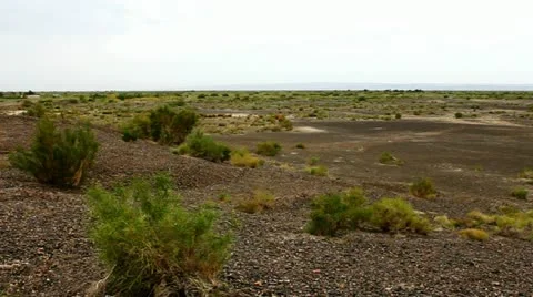 Desert Stock Footage 11679724