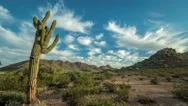 Desert  Stock Footage