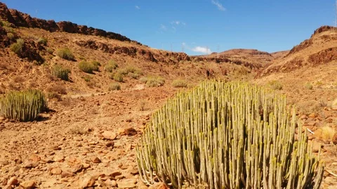 Desert Stock Footage 106023036