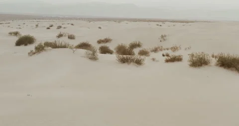 Desert  Stock Footage 170014828