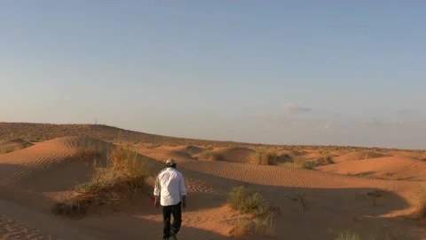 Desert Stock Footage 223368819