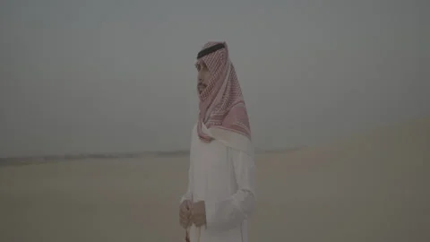 Desert Stock Footage 255487791