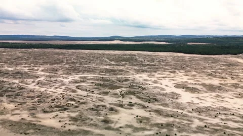 Desert in the forest Stock Footage 255963148