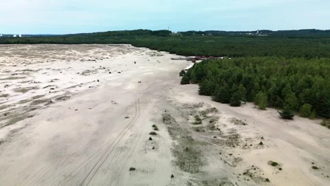 Desert in the forest Stock Footage 255967343