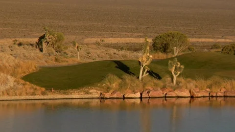 Desert fox runs onto golf course C Video stock 125343790