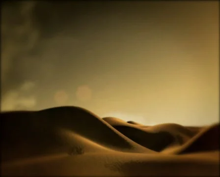 Desert Front to Back Stock Footage 183322