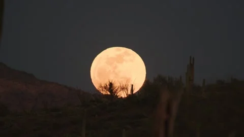 Desert Full Moon 2 Stock Footage 273726320