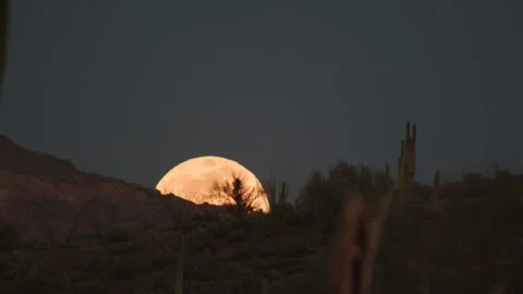 Desert Full Moon Stock Footage 273726323